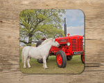 Shetland Pony and Tractor drinks Coaster - Horse Power - Kitchy & Co glass coaster