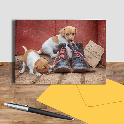 Jack russell puppies greetings card - New laces for old boots - Kitchy & Co