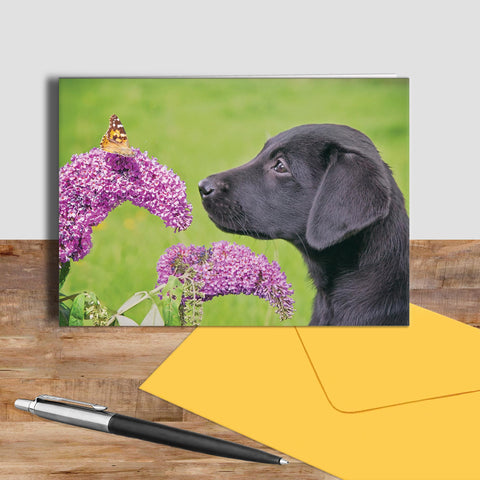 Labrador and Butterfly greetings card - Take time to smell the flowers - Kitchy & Co