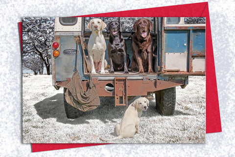 Christmas Card Pack of 5 - Please can I have a lift - Kitchy & Co Greeting & Note Cards