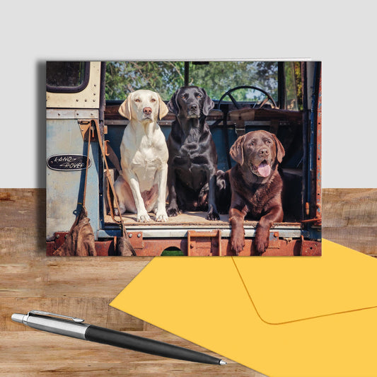 Labrador greetings card - Ready Willing and Able - Kitchy & Co