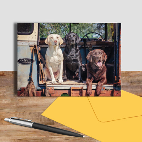 Labrador greetings card - Ready Willing and Able - Kitchy & Co