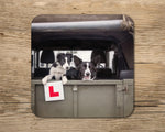 Sheepdog drinks Coaster - Learner Driver - Kitchy & Co glass coaster