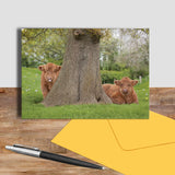 Highland Calves greetings card - From little acorns mighty oaks grow - Kitchy & Co