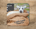 Little lamb drinks Coaster - Happy Stowaway - Kitchy & Co glass coaster
