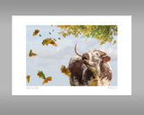 Longhorn Cow Print - Call of the Fall - Kitchy & Co print