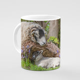 Swaledale Sheep Mug - I've been looking for Ewe ! - Kitchy & Co 10oz Mug Mugs