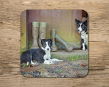 Border collie and wellies drinks Coaster - No muddy feet - Kitchy & Co coaster