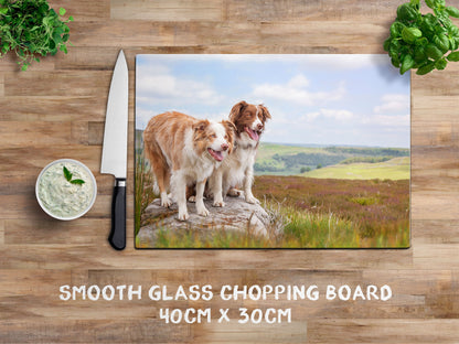 Red Merle Collie glass chopping board - Ready to Rock - Kitchy & Co Chopping Board