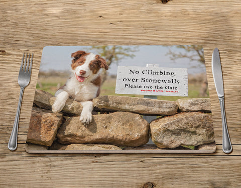 Red Collie Placemat - Please use the gate - Kitchy & Co Placemat