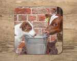Red Collie and Calf drinks Coaster - Sharing is Caring - Kitchy & Co glass coaster