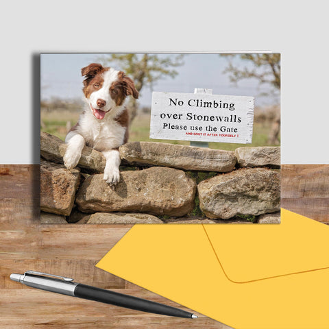Red Collie greetings card - Please close the gate - Kitchy & Co