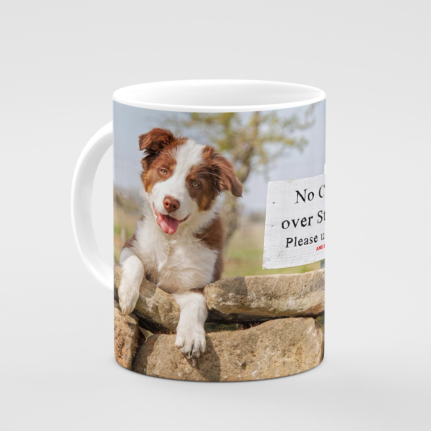 Red Collie Mug - Please close the gate - Kitchy & Co 10oz Mug Mugs