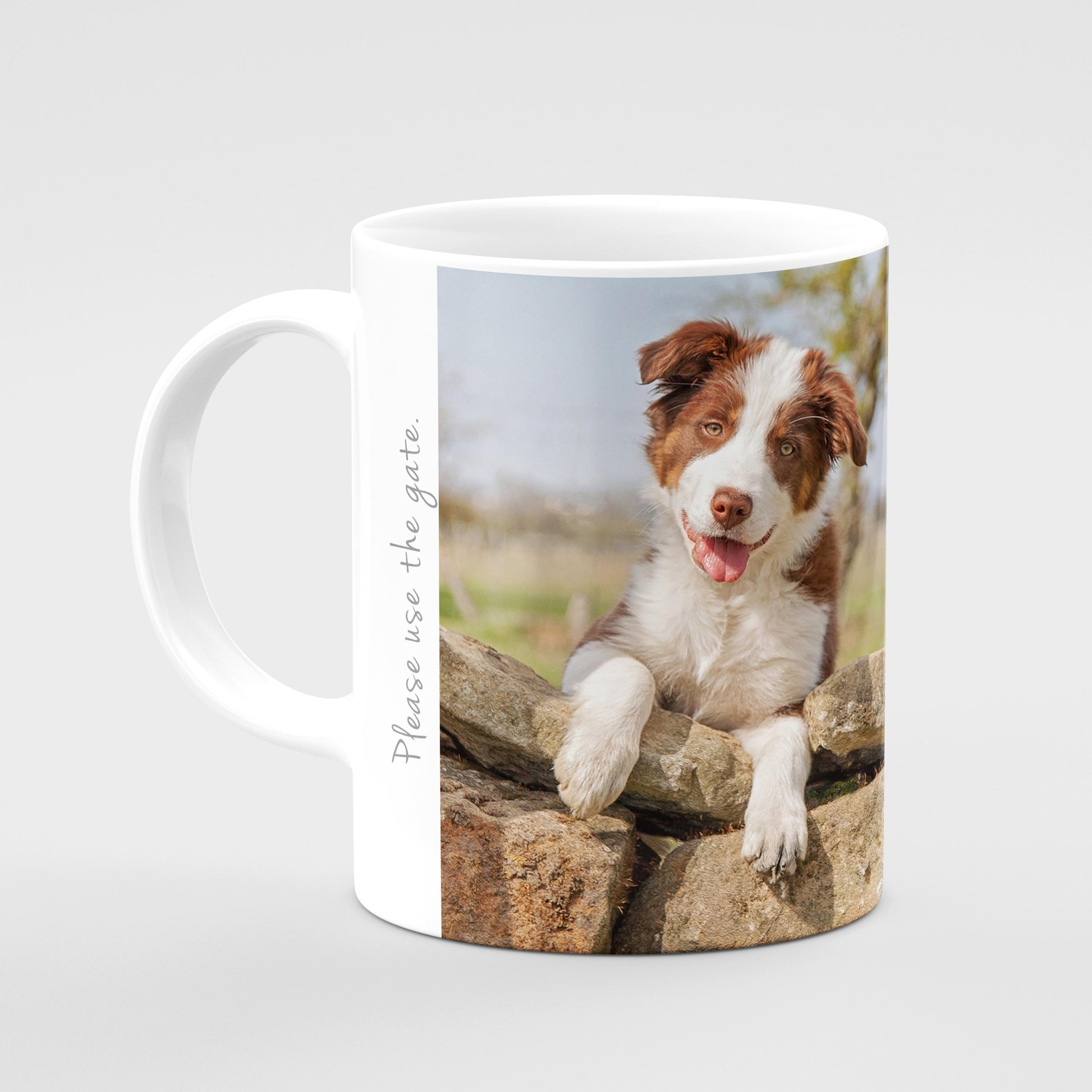 Red Collie Mug - Please close the gate - Kitchy & Co Mugs