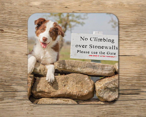 Red Collie drinks Coaster - Please close the gate - Kitchy & Co glass coaster