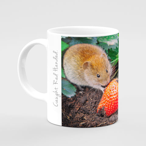 Strawberry Thief Mug - Caught Red Handed - Kitchy & Co Mugs