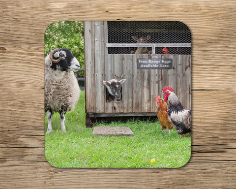 Lambs and Henhousedrinks Coaster - Ewe've got to be yolking - Kitchy & Co glass coaster