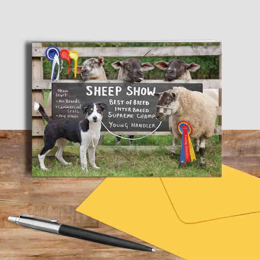 Sheep Show greetings card - Young Sheep Handler - Kitchy & Co