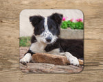 Border collie drinks Coaster - I get all the menial jobs - Kitchy & Co glass coaster