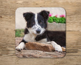 Collie Pup Mug - It's hard work being the apprentice - Kitchy & Co 10oz Mug With Matching Coaster Mugs