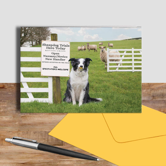 Sheepdog trial greetings card - If only we could get her to blow it. - Kitchy & Co