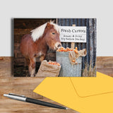 Shetland pony greetings card - Try before you buy - Kitchy & Co