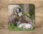 Swaledale sheep drinks Coaster - I've been looking for Ewe ! - Kitchy & Co glass coaster