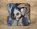 Swaledale Sheep Mug - Ewe've got to Pick a Pocket or Two - Kitchy & Co 10oz Mug with Matching Coaster Mugs