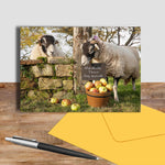Swaledale sheep greetings card - Scrumping Apples - Kitchy & Co