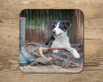 Working Sheepdog drinks Coaster - Shepherds new helper - Kitchy & Co glass coaster