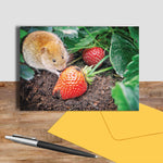 Bank Vole greetings card - Caught Red Handed - Kitchy & Co