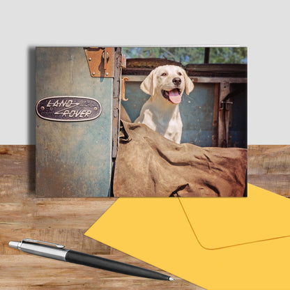 Yellow labrador puppy greetings card - Watch and Learn - Kitchy & Co