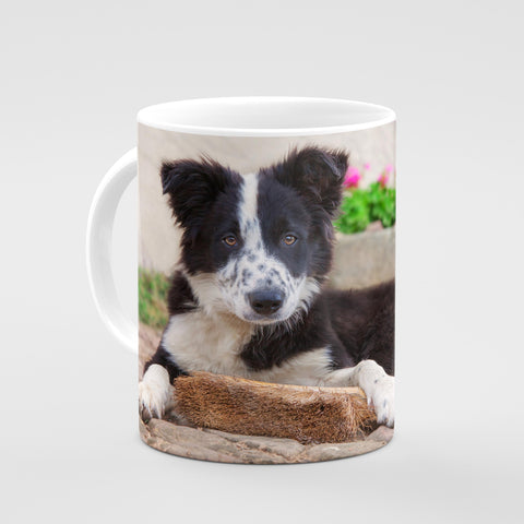 Collie Pup Mug - It's hard work being the apprentice - Kitchy & Co 10oz Mug Mugs