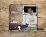 Pig drinks Coaster - Bed and Breakfast - Kitchy & Co glass coaster