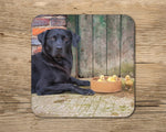 Black Labrador and Ducks Mug - Stop Ducking About - Kitchy & Co 10oz With Matching Coaster Mugs