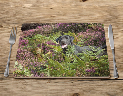 Labrador Placemat - On't moors - Kitchy & Co Placemat