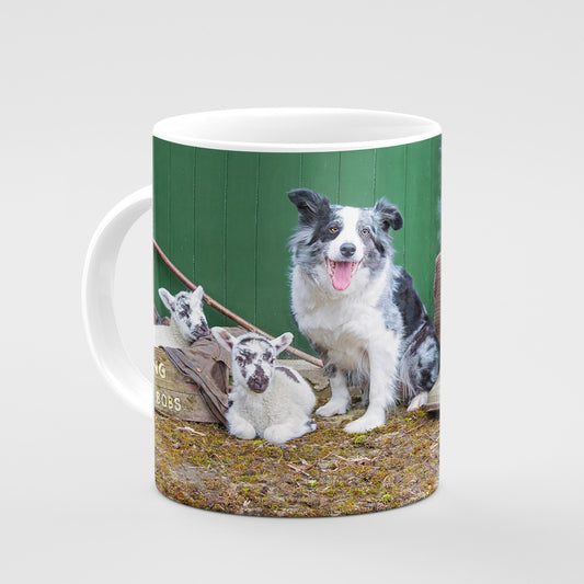 Blue Merle Collie Mug - Farming Bits and Bobs - Kitchy & Co 10oz Mug Mugs