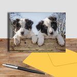 Border Collie Puppies greetings card - Just Hanging Out - Kitchy & Co