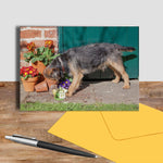 Border Terrier greetings card - Mouse Hunt - Kitchy & Co