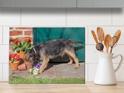 Border Terrier Glass Chopping Board - Mouse Hunting - Kitchy & Co Chopping Board