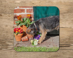 Border Terrier Mug - Mouse Hunting - Kitchy & Co 10oz Mug With Matching Coaster Mugs