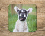 Lamb Mug - I think we'll call her Daisy - Kitchy & Co 10oz Mug with Matching Coaster Mugs
