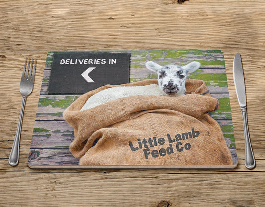 Little Lamb Placemat - Happy Stowaway - Kitchy & Co Placemat