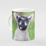 Lamb Mug - I think we'll call her Daisy - Kitchy & Co 10oz Mug Mugs