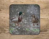 Two Ducks drinks Coaster - The Great British Weather - Kitchy & Co glass coaster