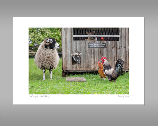 Swaledale Sheep Print - Ewe've got to be Yolking - Kitchy & Co print