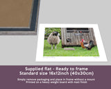 Swaledale Sheep Print - Ewe've got to be Yolking - Kitchy & Co print
