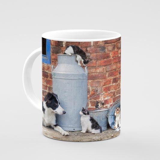 Border Collie & Farm Cats Mug - The cats that got the cream - Kitchy & Co 10oz Mug Mugs