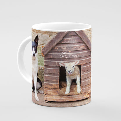 Border collie and Lamb Mug - Bess gets a new lodger - Kitchy & Co Mugs