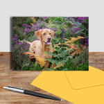 Fox Red Labrador greetings card - First Flush of Colour - Kitchy & Co